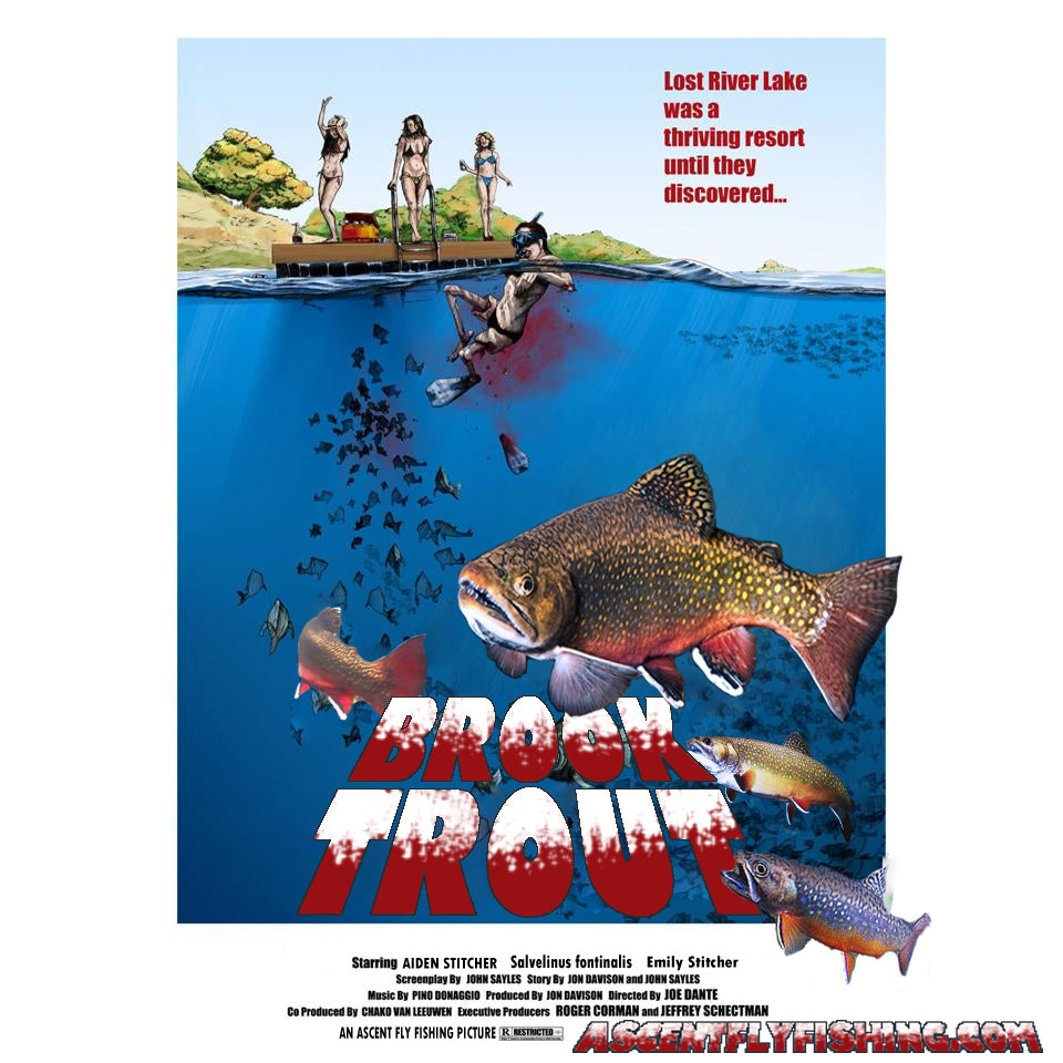 Trout Smart Series: An Insider's Look at Catching Brook Trout on the Fly