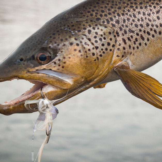 Fly Fishing with Streamer –  Part I: Rigging