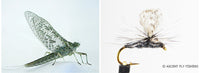 Fly Selection 101: Introducing The TRUE FLY Patterns