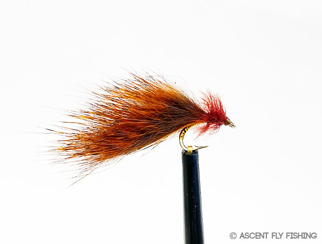 Mini Leech