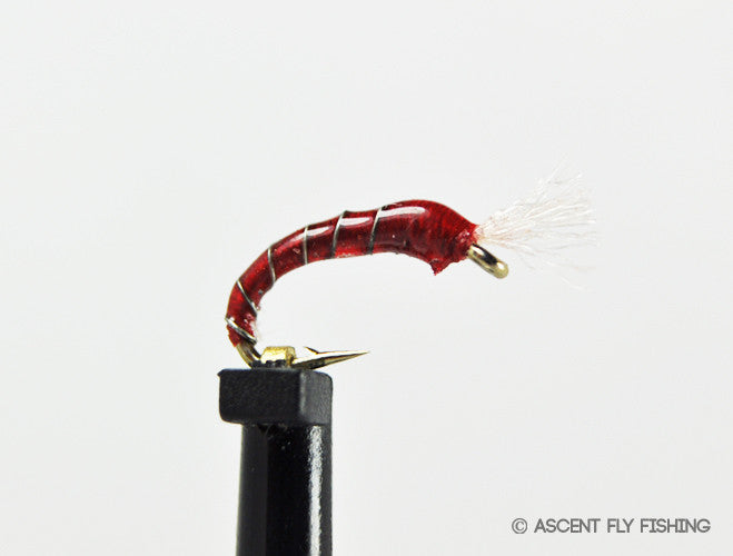 3D Epoxy Bloodworm