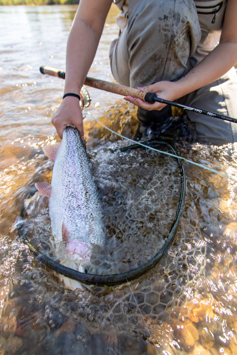 TFO Pro III Two-Handed Fly Rod