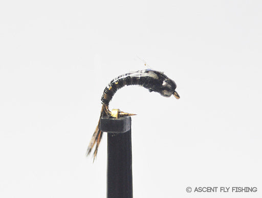 Black & Grey Beadhead Juju Baetis