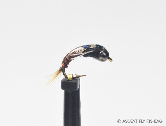 Brown & Black Beadhead Juju Baetis