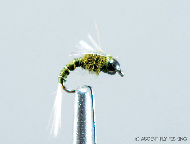 Beadhead Olive Darth Baetis