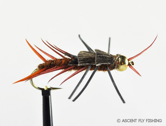 Beadhead Hellgrammite
