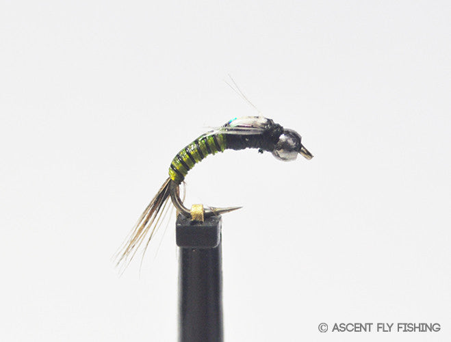 Olive & Black Beadhead Juju Baetis