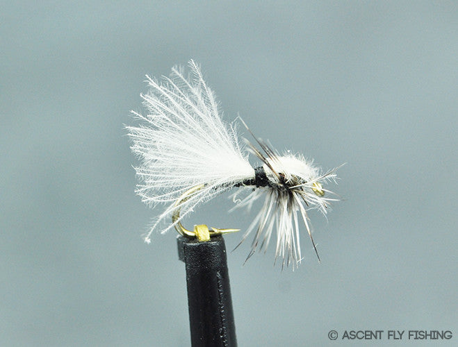 Black CDC Midge