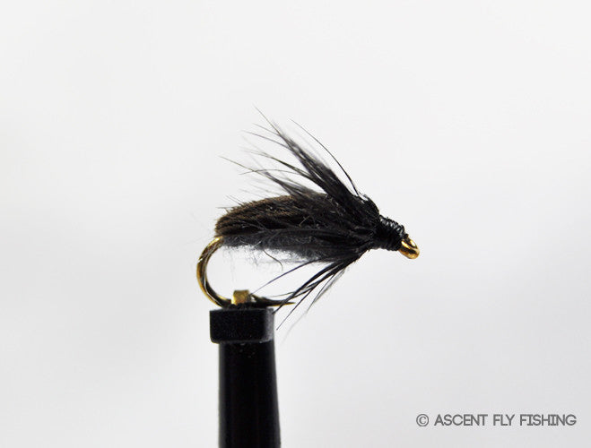 Colorado Caddis