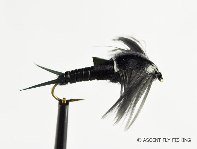 Black Stonefly Nymph
