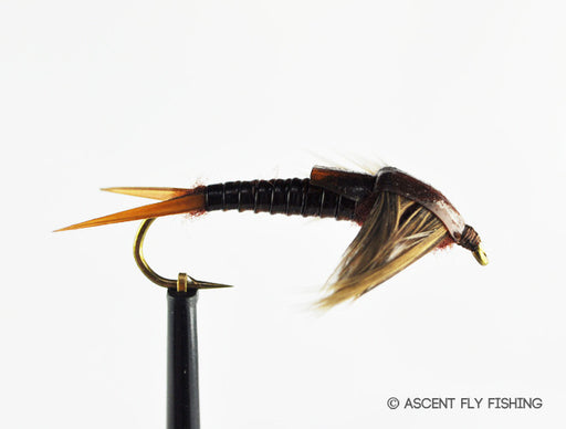 Brown Stonefly Nymph