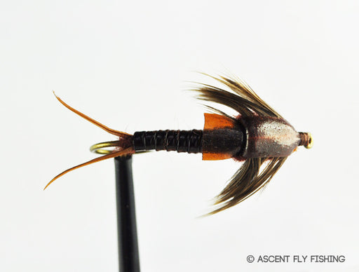 Brown Stonefly Nymph