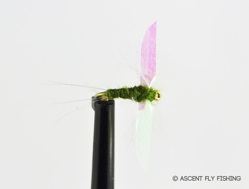 BWO CDC Pearlwing Spinner