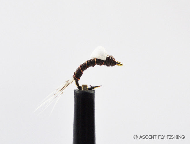 Chocolate Thunder (Original - Chocolate Brown)