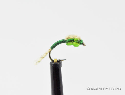 Green 2-Bead WD-40