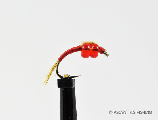 Red 2-Bead WD-40