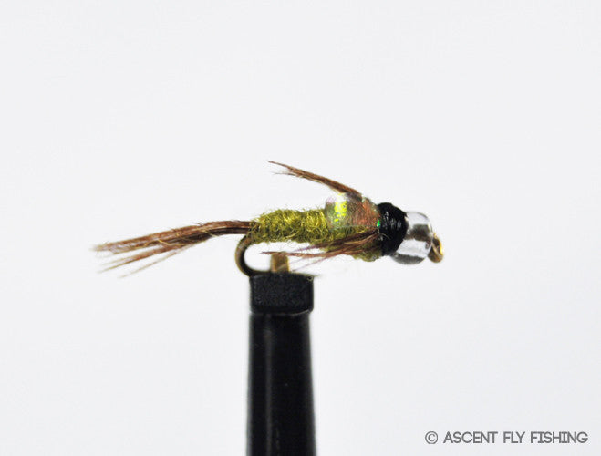 Flashback Mercury Baetis