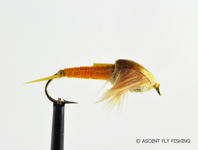 Golden Stonefly Nymph