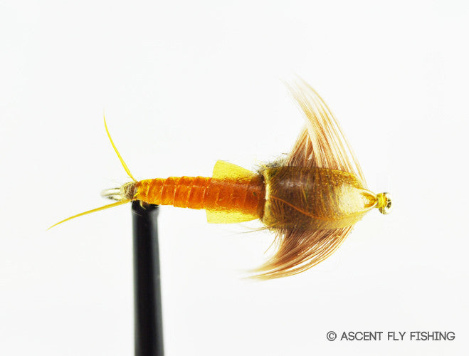 Golden Stonefly Nymph