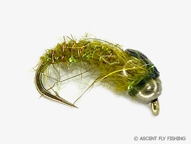 Green Tungsten Franken Larva