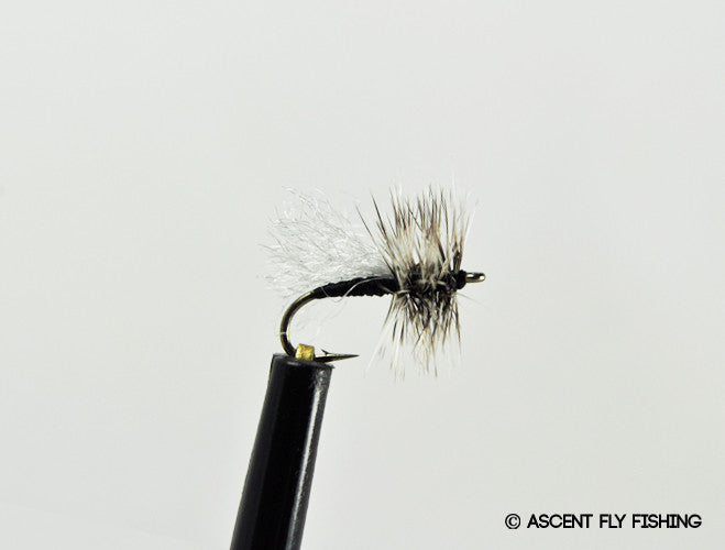 Black Matt's Midge