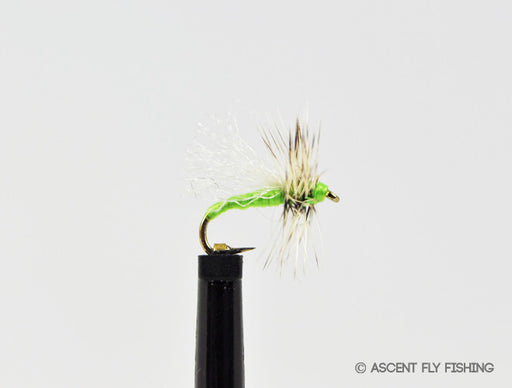 Chartreuse Matt's Midge