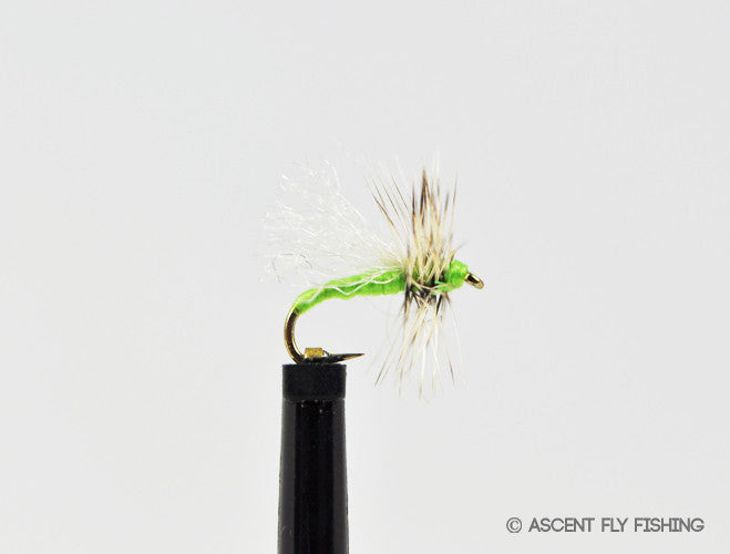 Chartreuse Matt's Midge