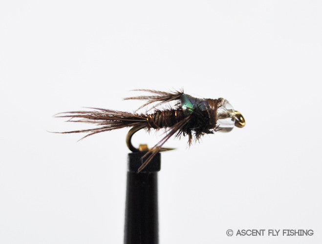 Mercury Pheasant Tail