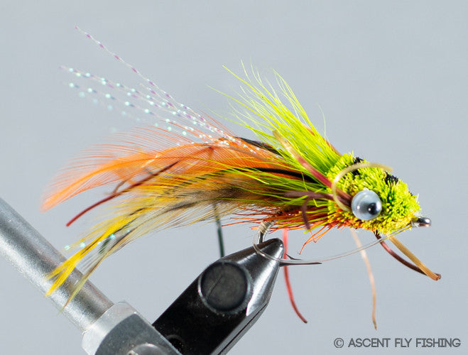 Mini Gurgle Bug - Chartreuse / Orange