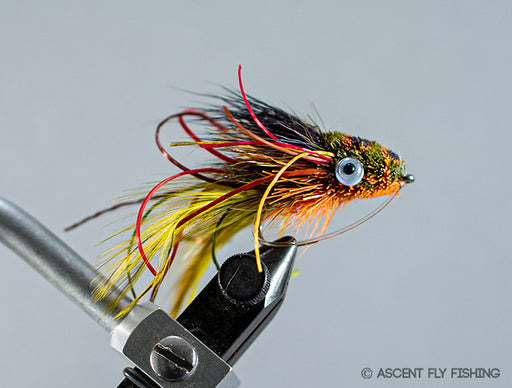 Mini Gurgle Bug - Olive / Orange
