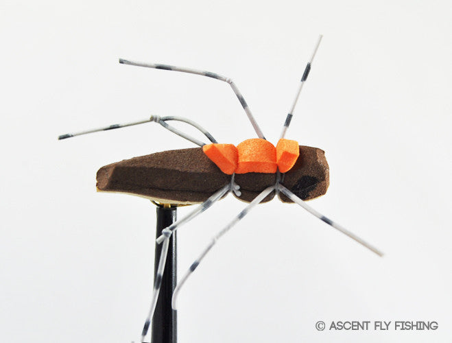 Foam Hopper
