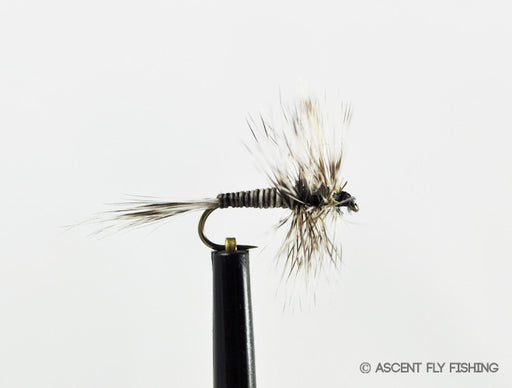 Mosquito Dry Fly