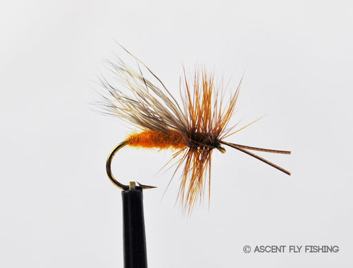 October Caddis
