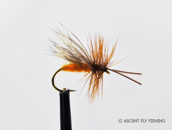 October Caddis