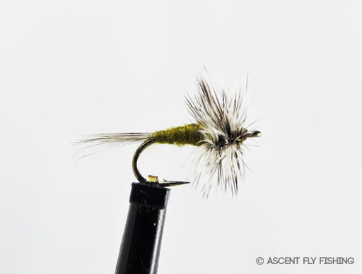 Olive Dry Midge