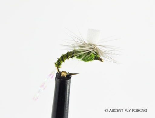 BWO Parachute Emerger