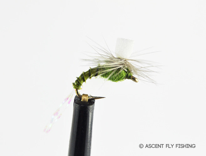 BWO Parachute Emerger