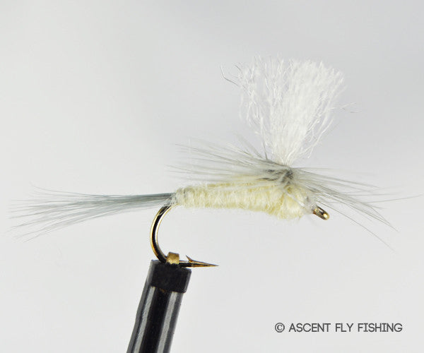 Parachute PMD