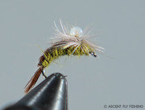 Parachute Greg's Emerger - BWO
