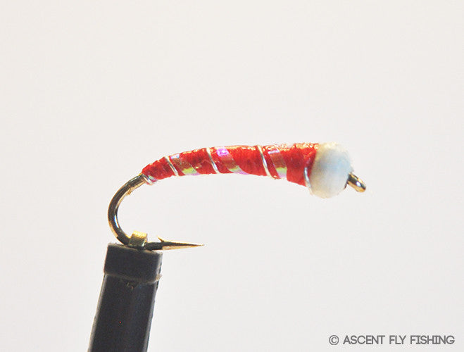 Red Ice Cream Cone Chironomid
