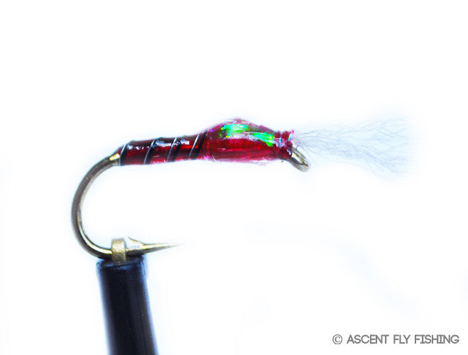 Red UV Chironomid Pattern