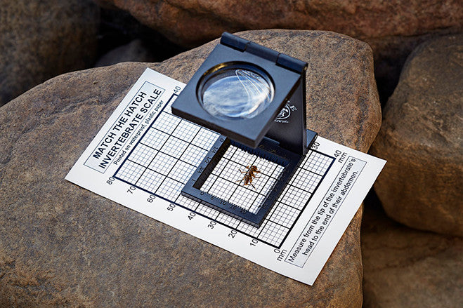 Fly Fishing Magnifier and Hook Size Chart