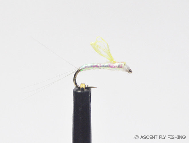 Pearl Sparkle Wing RSII