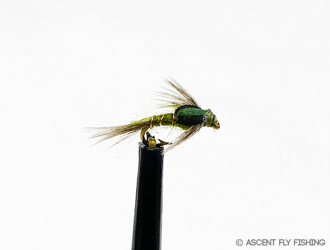 Split Case BWO