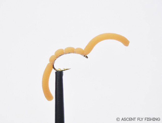 Tan Squirmy Worm