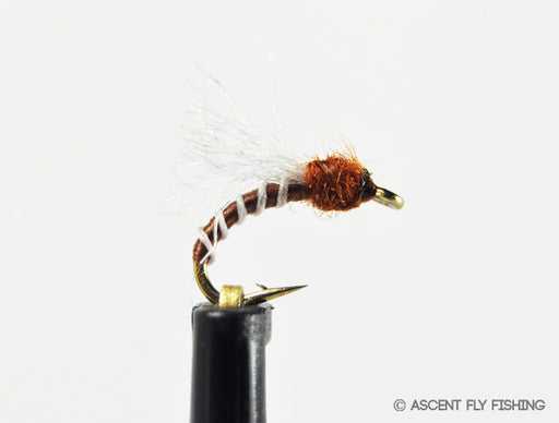 Top Secret Midge - Brown (Traditional Color)