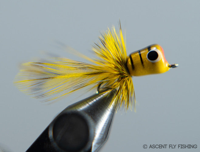 Walt's Panfish Popper - Yellow Bee