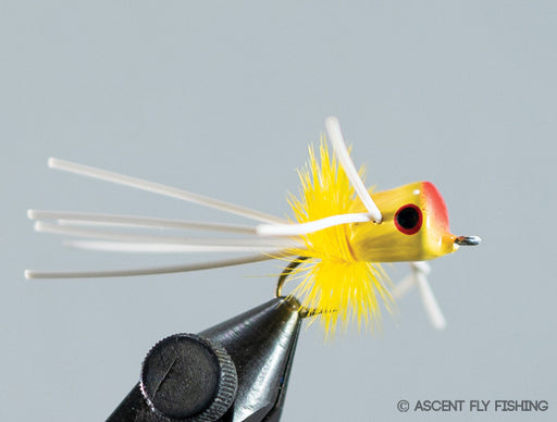 Walt's Small  Popper - Yellow