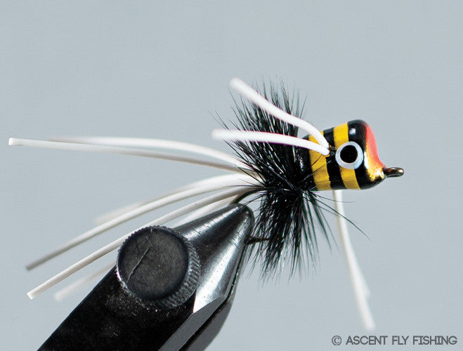 Walt's Small  Popper - Black & Yellow Stripes