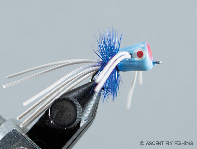 Walt's Small  Popper - Carolina Blue